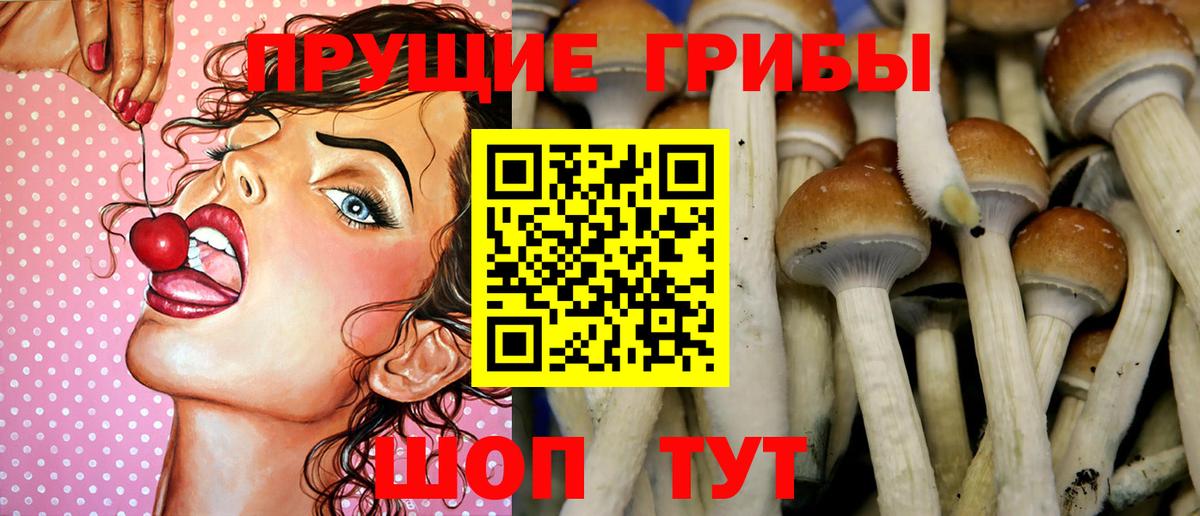 Псилоцибиновые грибы GOLDEN TEACHER  Вход с VPN  Галлюциногенные грибы MAGIC MUSHROOMS  Рузаевка 